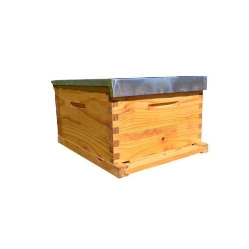 Complete Brood Box - BeeBuzzBiz