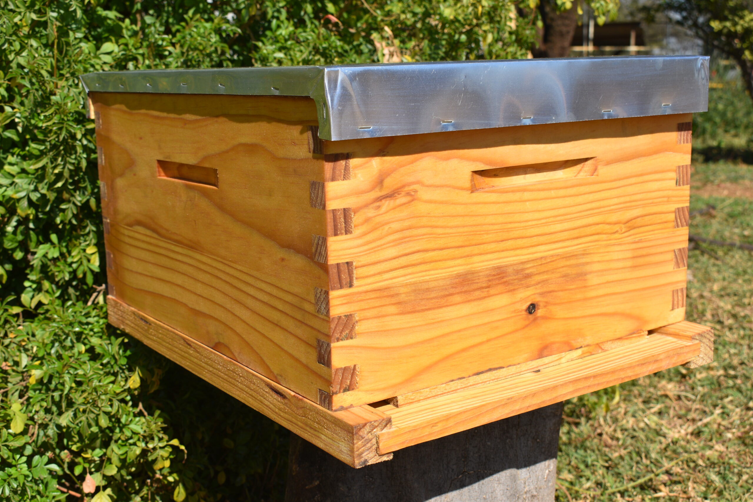 Brood Box Pattern Complete Brood Box - BeeBuzzBiz